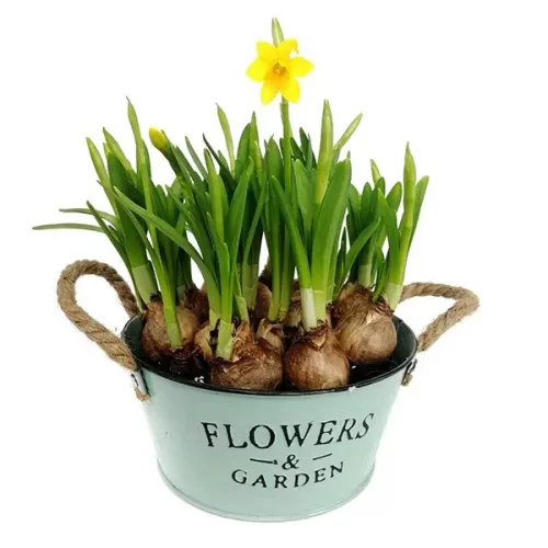 710c04bf-5fdd-48cb-b370-ff2e5627423b