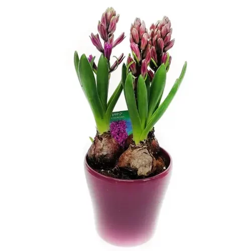 73d3e4f3-b5b0-4e55-864b-bd13b92ad74d